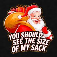 Funny Santa Claus You Should See The Size Of My Sack Ladies PosiCharge Tri-Blend Wicking Tank