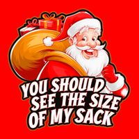 Funny Santa Claus You Should See The Size Of My Sack Flatbill Hat