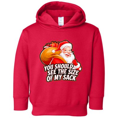Funny Santa Claus You Should See The Size Of My Sack Toddler Hoodie