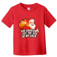 Funny Santa Claus You Should See The Size Of My Sack Toddler T-Shirt