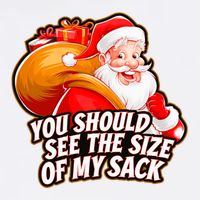Funny Santa Claus You Should See The Size Of My Sack Garment-Dyed Sweatshirt