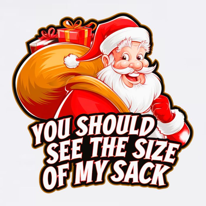 Funny Santa Claus You Should See The Size Of My Sack Garment-Dyed Sweatshirt