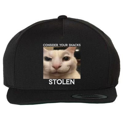 Funny Silly Cat Sarcastic Saying Funny Cat Wool Snapback Cap