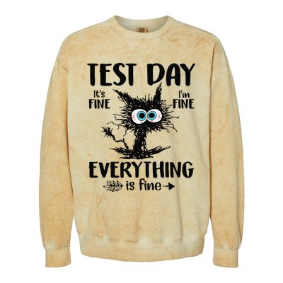 Funny Stressed Cat Teacher Student Testing Day Colorblast Crewneck Sweatshirt