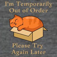 Funny Sleepy Cat Temporarily Out Of Order Button