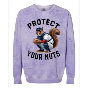 Funny Squirrel Catcher Baseball Lover Protect Your Nuts Gift Colorblast Crewneck Sweatshirt