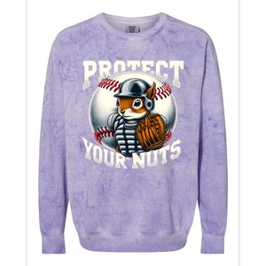 Funny Squirrel Catcher Protect Your Nuts Baseball Lover Gift Colorblast Crewneck Sweatshirt