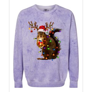 Funny Squirrel Christmas Tree Lights Reindeer Santa Hat Xmas Colorblast Crewneck Sweatshirt