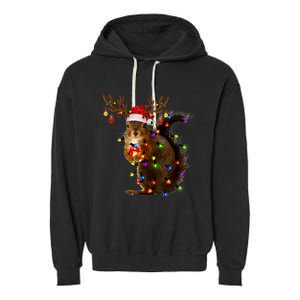 Funny Squirrel Christmas Tree Lights Reindeer Santa Hat Xmas Garment-Dyed Fleece Hoodie