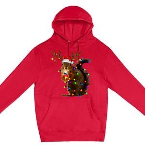 Funny Squirrel Christmas Tree Lights Reindeer Santa Hat Xmas Premium Pullover Hoodie