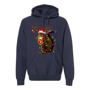 Funny Squirrel Christmas Tree Lights Reindeer Santa Hat Xmas Premium Hoodie