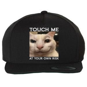 Funny Silly Cat Touch Me At Your Own Risk Sarcastic Saying Wool Snapback Cap