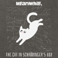 Funny SchröDingerS Cat Quantum Physics Scientists Nerd Cotton Canvas Backpack