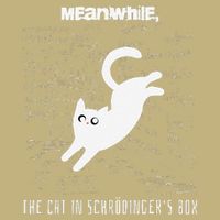 Funny SchröDingerS Cat Quantum Physics Scientists Nerd Mousepad