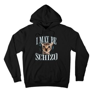 Funny Silly Cat Meme Hoodie