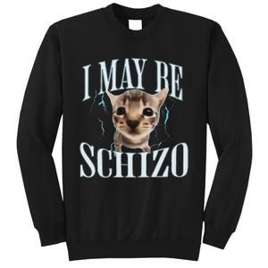 Funny Silly Cat Meme Sweatshirt