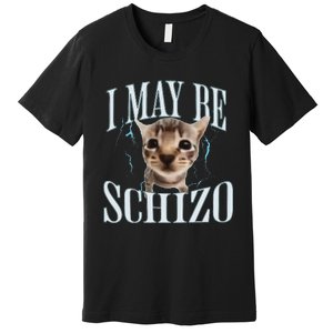 Funny Silly Cat Meme Premium T-Shirt