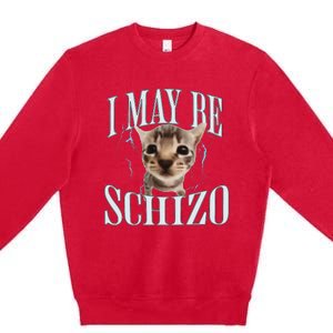 Funny Silly Cat Meme Premium Crewneck Sweatshirt