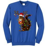 Funny Squirrel Christmas Tree Lights Reindeer Santa Hat Xmas Gift Tall Sweatshirt