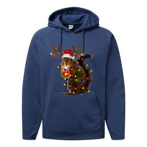 Funny Squirrel Christmas Tree Lights Reindeer Santa Hat Xmas Gift Performance Fleece Hoodie