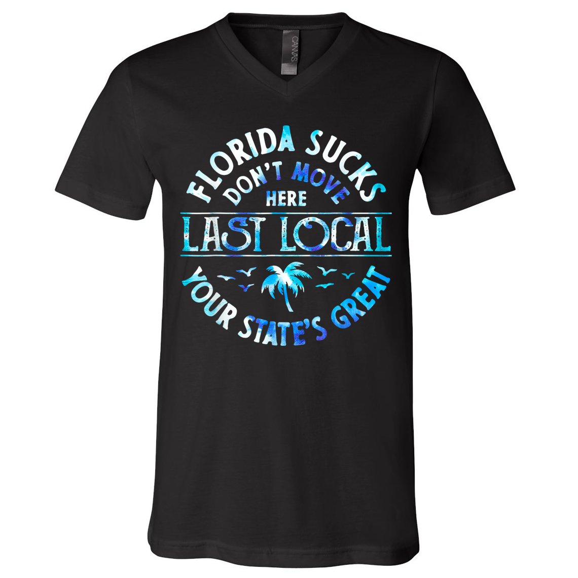 Florida Suckss Dont Move Here Last Local Funny V-Neck T-Shirt