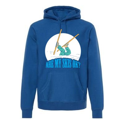 Funny Skiing Design Are My Skis Ok ? For Winter Sports Gift Premium Hoodie