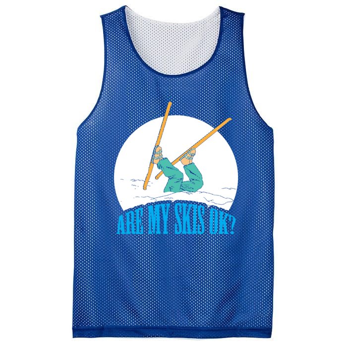 Funny Skiing Design Are My Skis Ok ? For Winter Sports Gift Mesh Reversible Basketball Jersey Tank