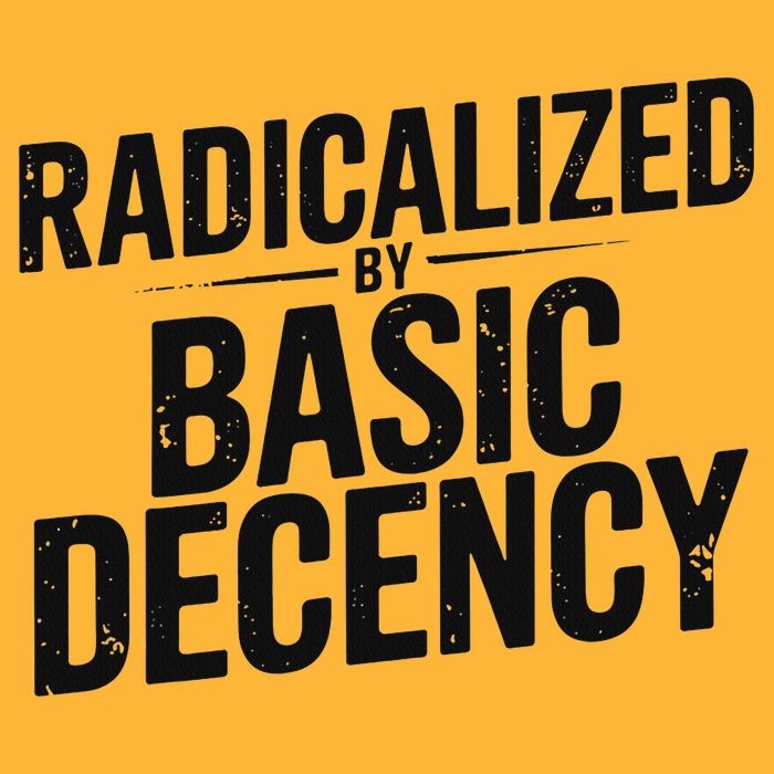 Funny Social Democracy Radicalized By Basic Decency Pom Pom 12in Knit Beanie