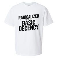 Funny Social Democracy Radicalized By Basic Decency Sueded Cloud Jersey T-Shirt