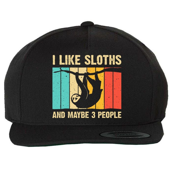 Funny Sloth Design For Sloth Lover  Introvert Wool Snapback Cap