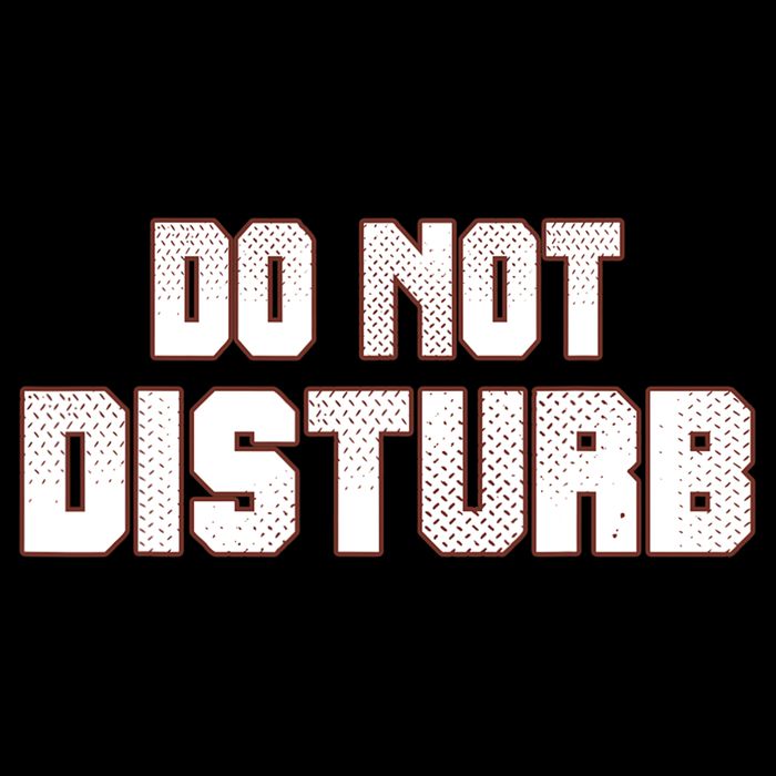 Funny Sayings; Do Not Disturb 16 in Basic Backpack