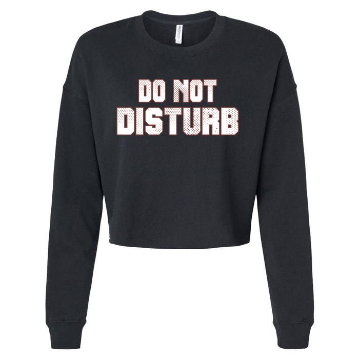 Funny Sayings; Do Not Disturb Cropped Pullover Crew