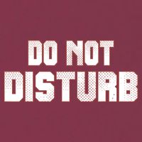 Funny Sayings; Do Not Disturb 16oz Travel Tumbler
