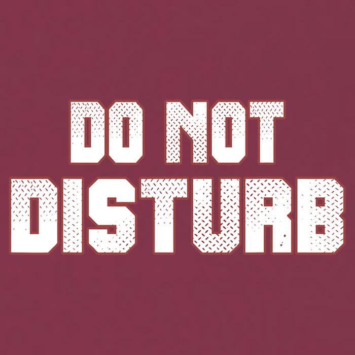 Funny Sayings; Do Not Disturb 16oz Travel Tumbler