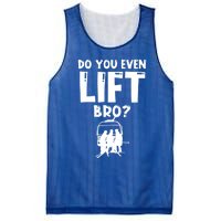 Funny Skiing Do You Even Lift Snowboard Ski Gift Mesh Reversible Basketball Jersey Tank