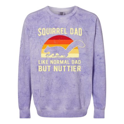 Funny Squirrel Dad Pet Squirrel Owner Squirrel Lover Nuts Colorblast Crewneck Sweatshirt