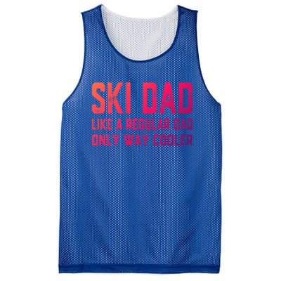 Funny Ski Dad Skiing Father Funny Gift For Skiers Gift Mesh Reversible Basketball Jersey Tank