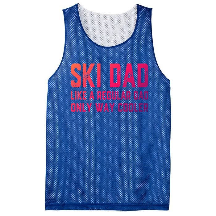 Funny Ski Dad Skiing Father Funny Gift For Skiers Gift Mesh Reversible Basketball Jersey Tank