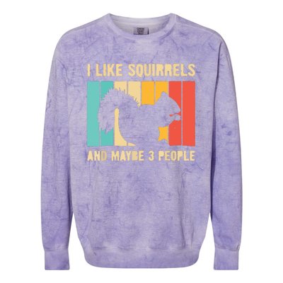 Funny Squirrel Design For Pet Squirrel Lovers Colorblast Crewneck Sweatshirt