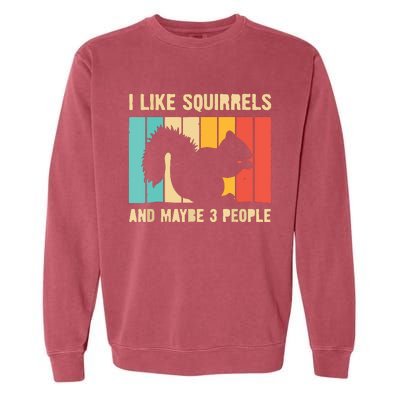 Funny Squirrel Design For Pet Squirrel Lovers Garment-Dyed Sweatshirt