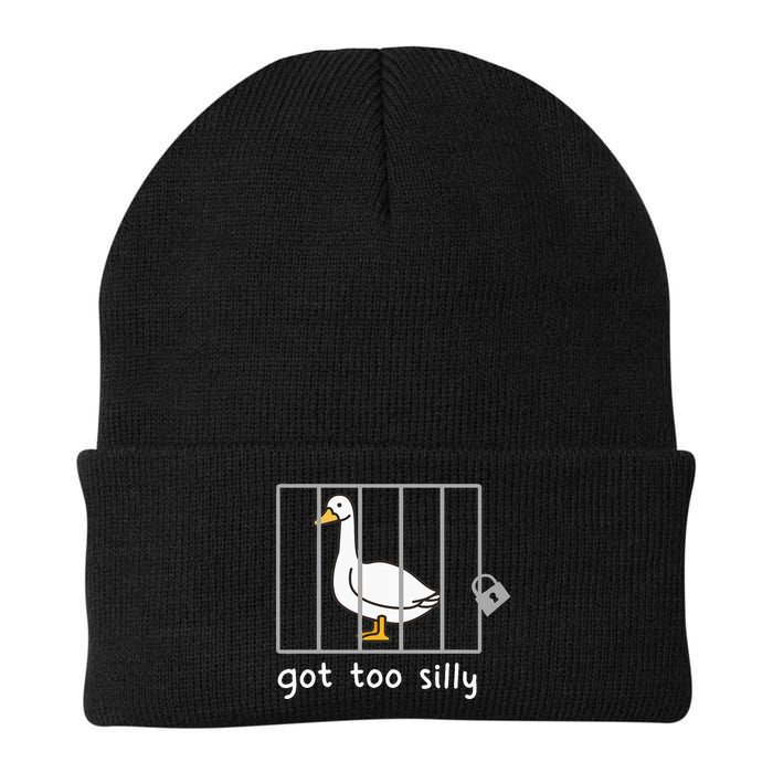 Funny Saying Duck Go To Silly Goose In Jail Beanie