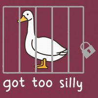 Funny Saying Duck Go To Silly Goose In Jail 16oz Travel Tumbler
