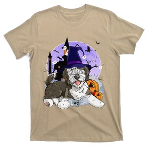 Funny Sheepadoodle Dog Halloween Witch Pumpkin T-Shirt