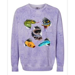 Funny Snake Design For Men Women Kids Toddlers Reptile Lover Colorblast Crewneck Sweatshirt