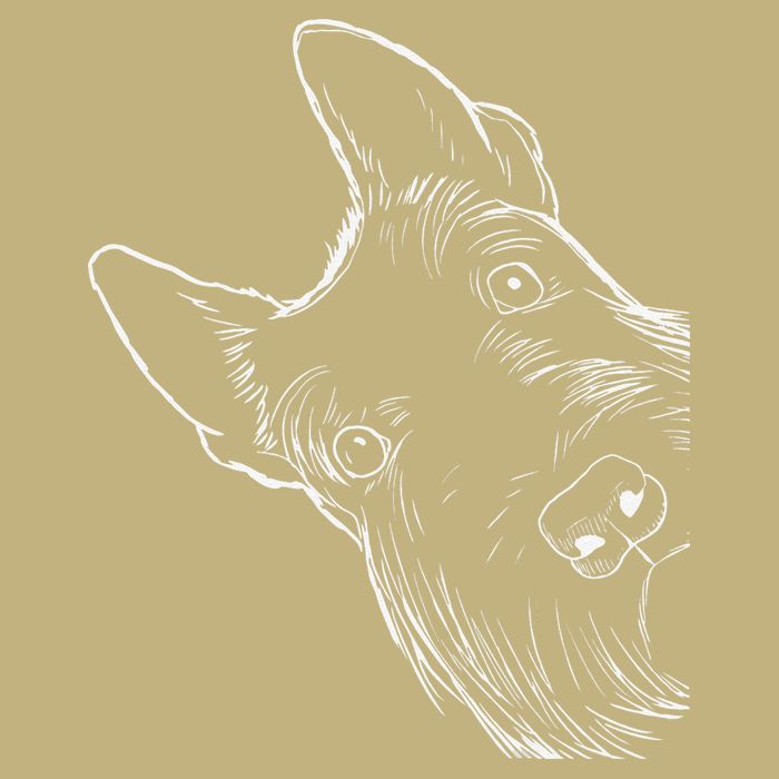 Funny Scottie Dog Scottish Terrier T-Shirt