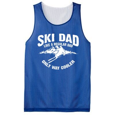 Funny Ski Dad Gift Skiers Cute Skiing Lovers Father's Day Gift Mesh Reversible Basketball Jersey Tank