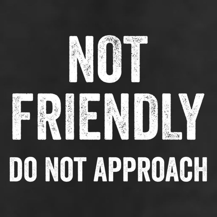 Funny Sarcastic Design Great Gift Not Friendly Do Not Approach  Knit Cap Winter Beanie