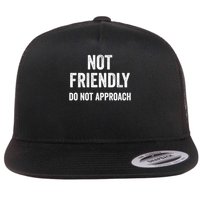Funny Sarcastic Design Great Gift Not Friendly Do Not Approach  Flat Bill Trucker Hat