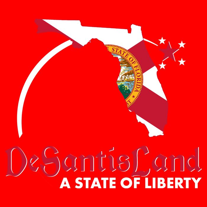Florida State DeSantisLand A State Of Liberty Button