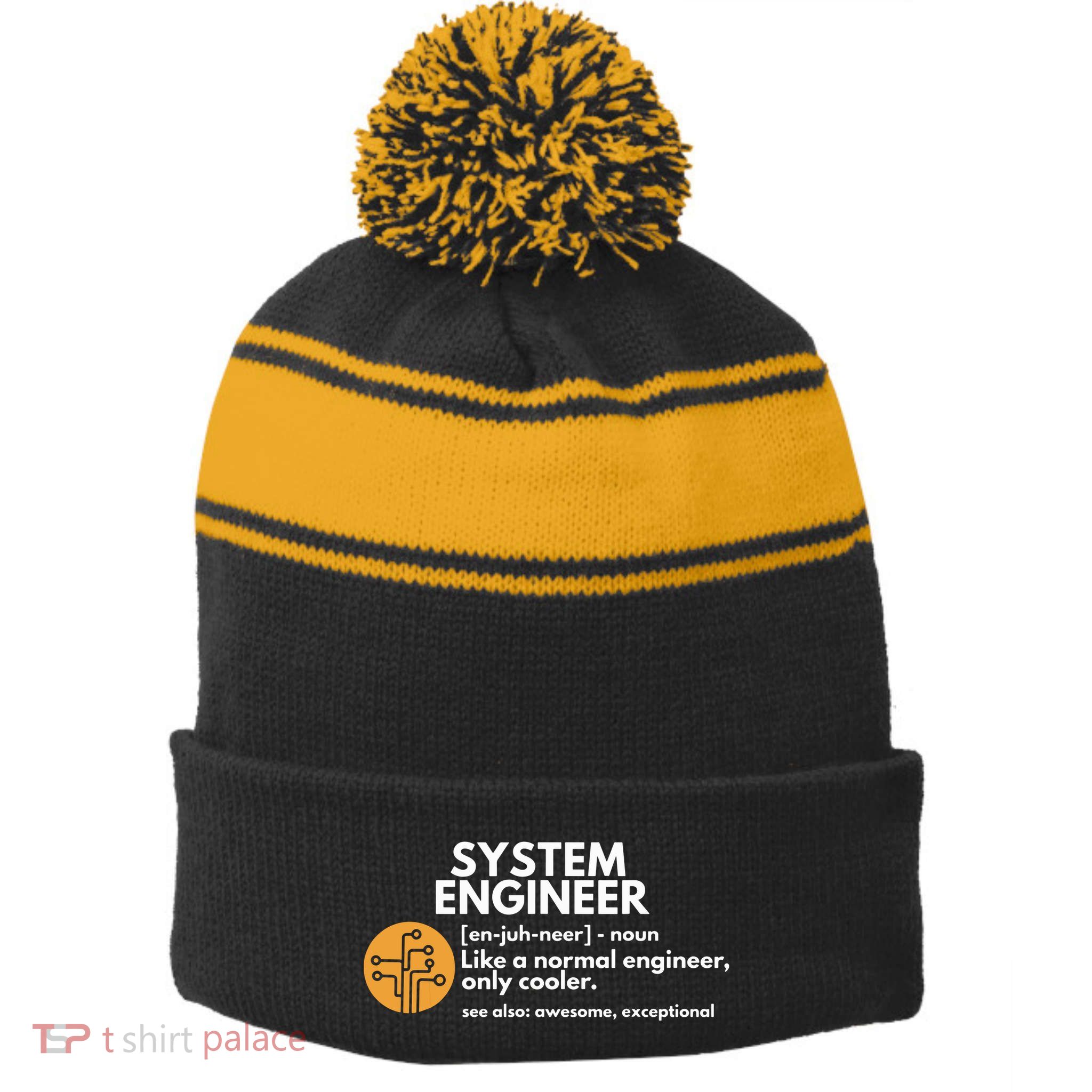 Funny System Engineer Definition Software Engineering Gift Stripe Pom Pom Beanie